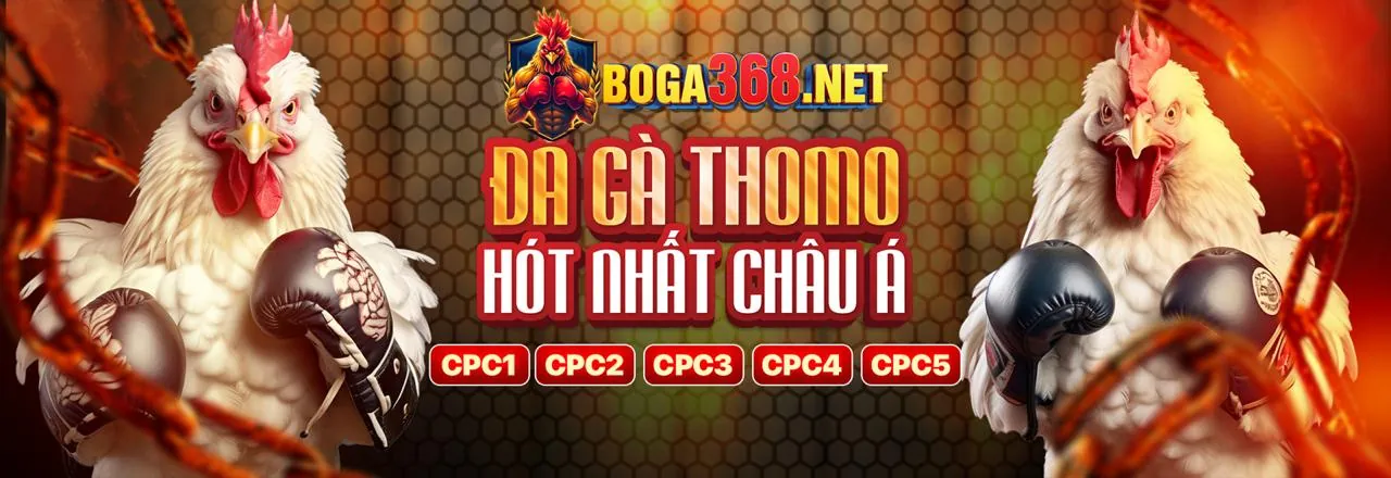 Đá gà MCW77 Trực Tuyến
