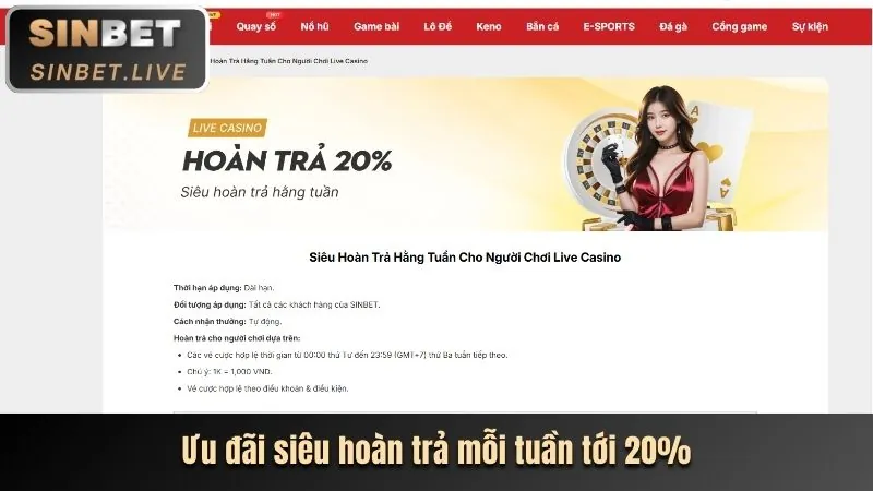 Chương trình VIP và khuyến mãi độc quyền MCW77